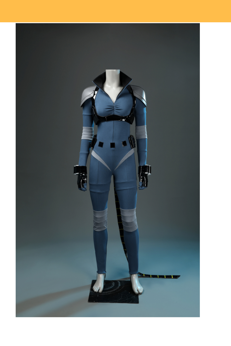 Absolute Catwoman Cosplay Costume
