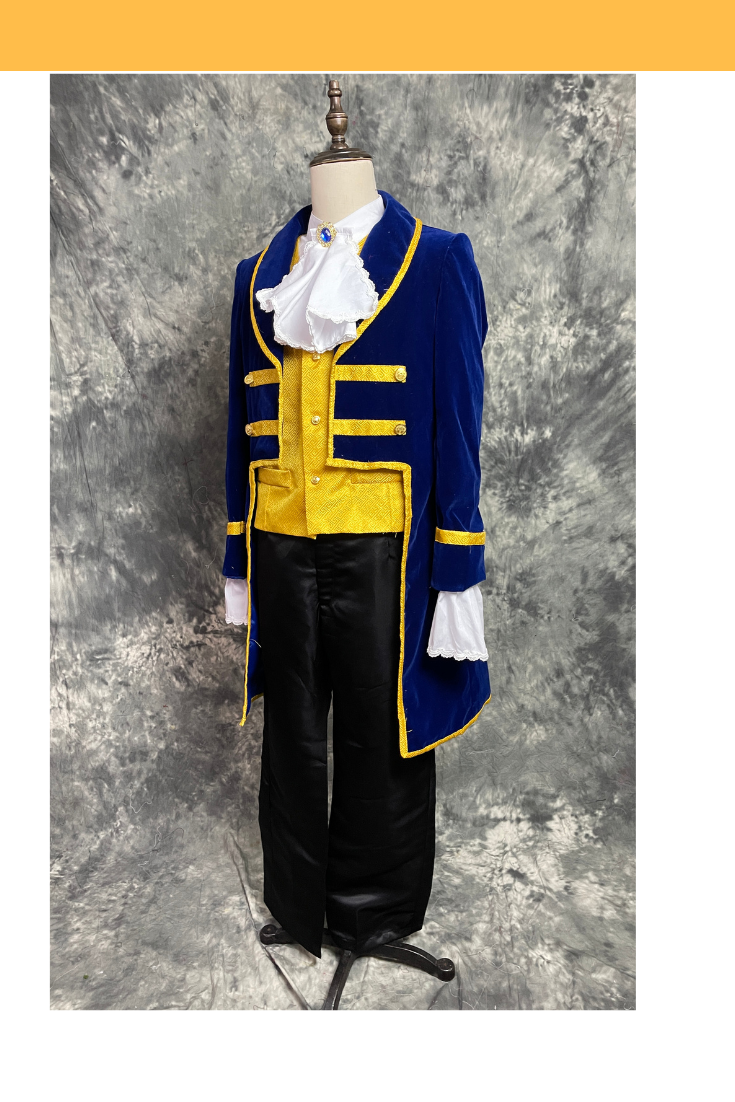 Beast Prince Inspired Updated Velvet Cosplay Costume