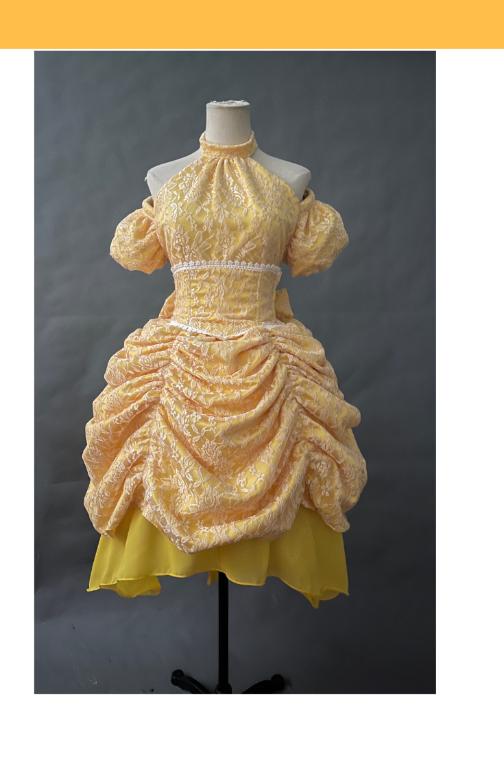 Belle Inspired Altered Short Brocade Dress Cosplay Costume