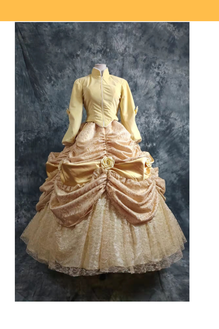 Belle Inspired Heavy Brocade Winter Cosplay Costume