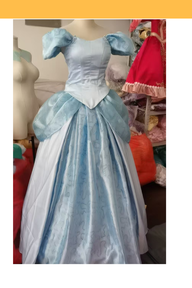 Cinderella Inspired Sequined Sleeve Caps Cosplay Costume