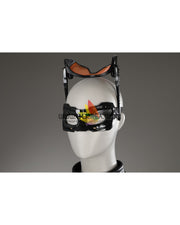 Cosrea DC Universe The Cat Selina Kyle The Dark Knight Rises Custom Costume