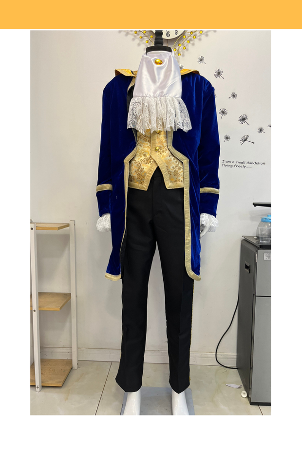 Cosrea Disney Beauty And Beast Prince Formal Wear In Velvet And Brocade Satin Cosplay Costume