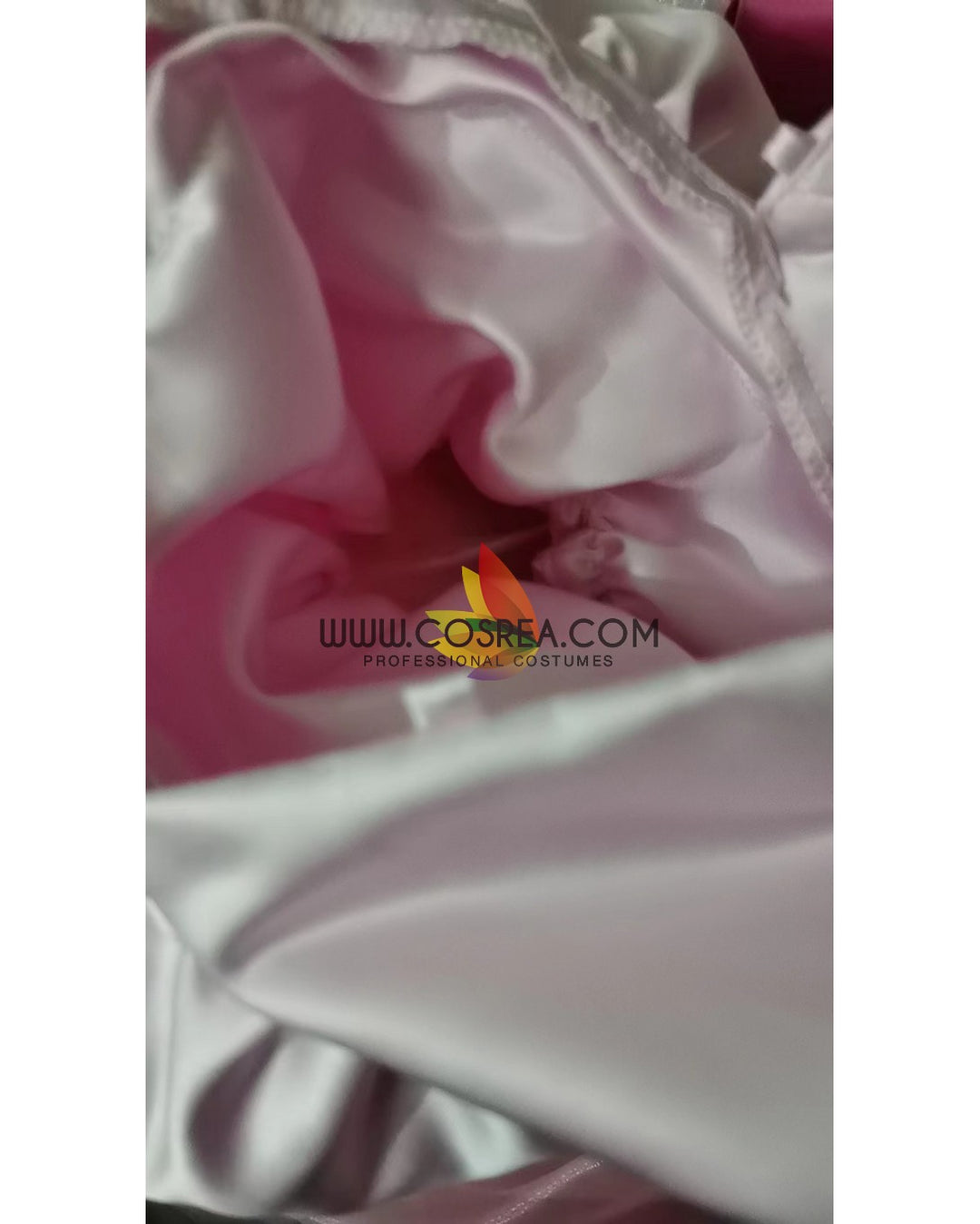 Charlotte La Bouff The Princess and the Frog Classic Satin Cosplay Costume 