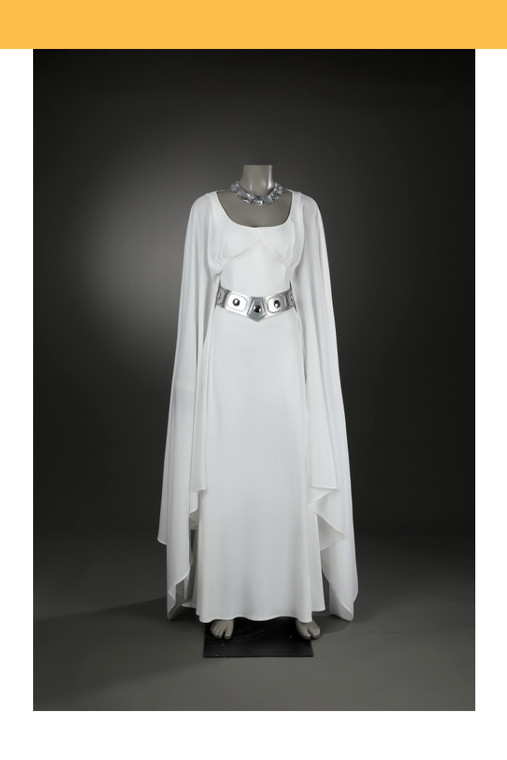 Princess Leia New Hope Cosplay Costume