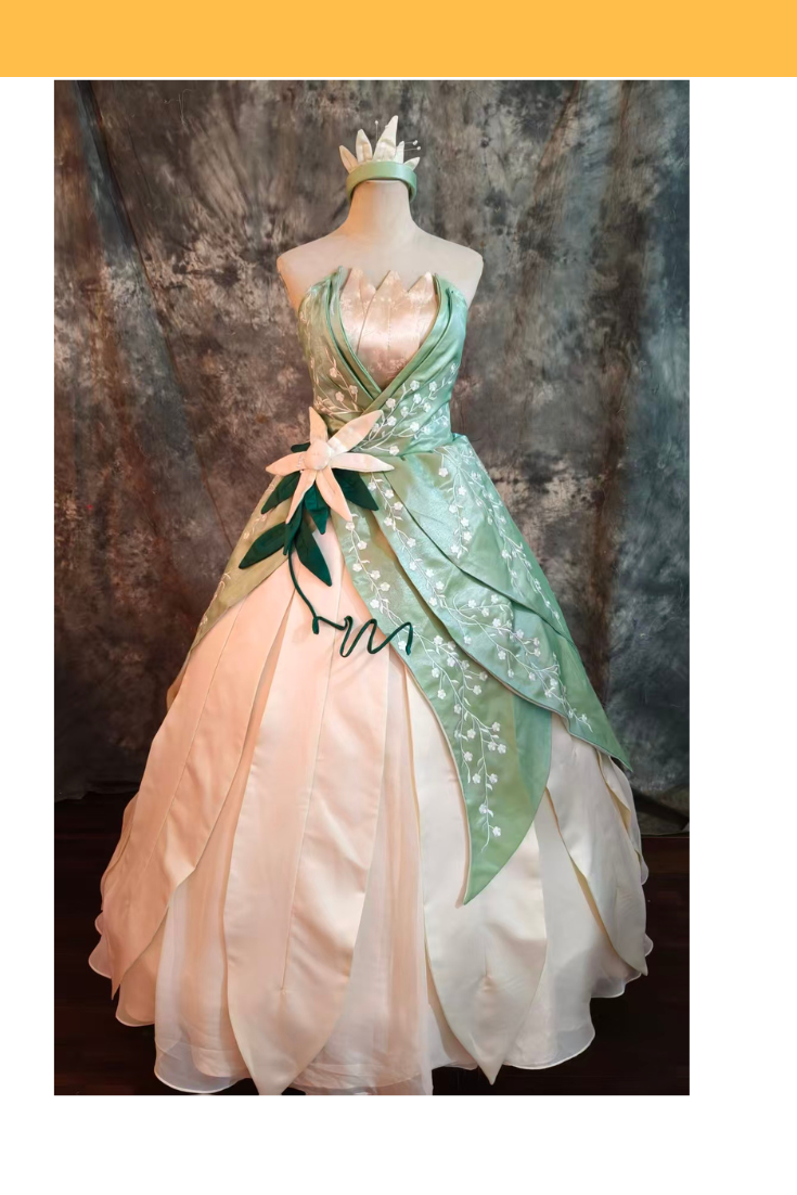 Tiana Inspired 2026 Embroidered Costume