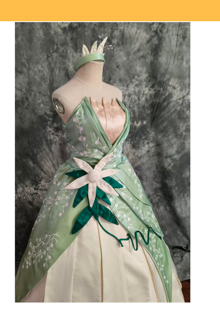 Tiana Inspired Light Green Based Embroidered Costume