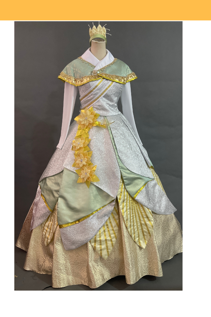 Tiana Inspired Winter Costume
