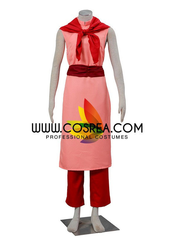 Cosrea A-E Dragonball Chi Chi Cosplay Costume