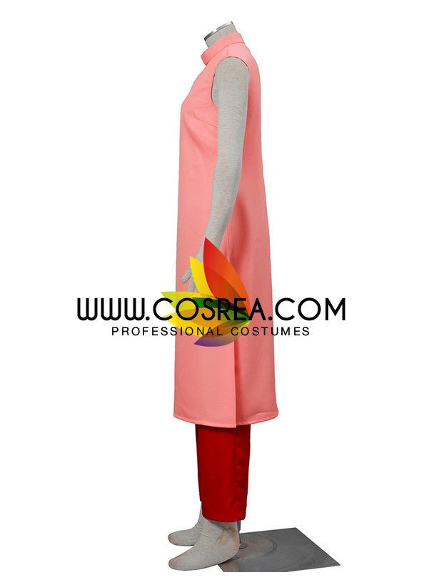 Cosrea A-E Dragonball Chi Chi Cosplay Costume