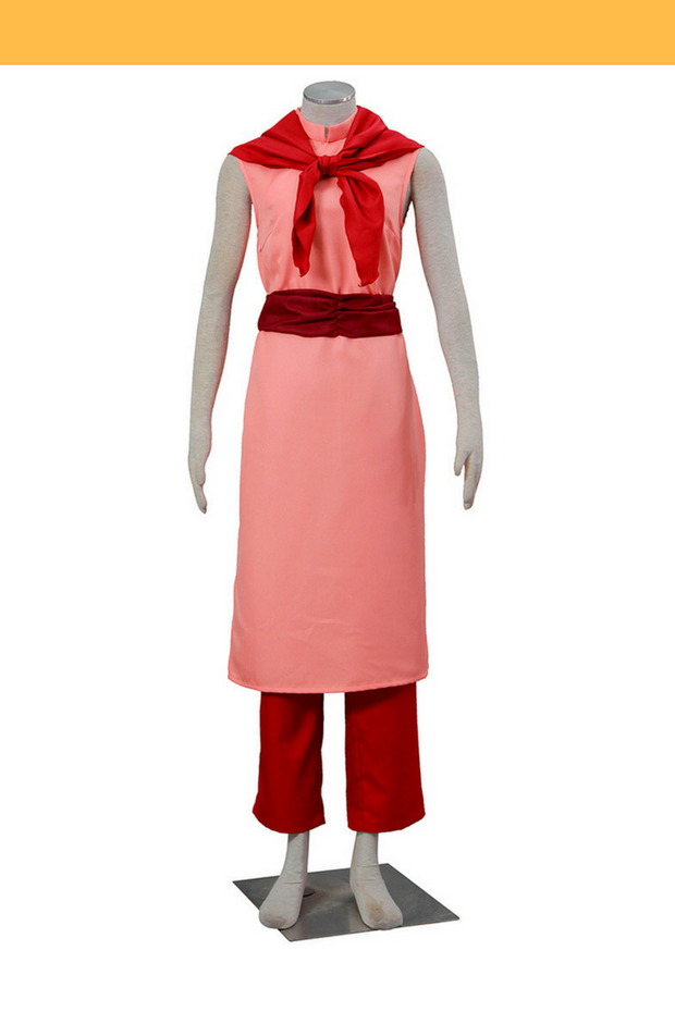 Cosrea A-E Dragonball Chi Chi Cosplay Costume
