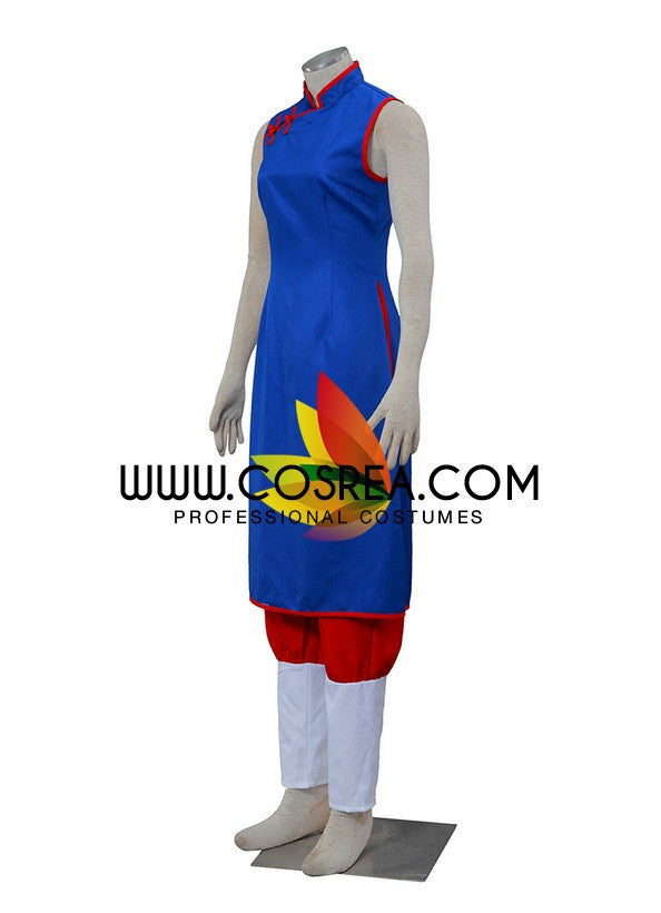 Cosrea A-E Dragonball Chi Chi Youth Qipao Cosplay Costume