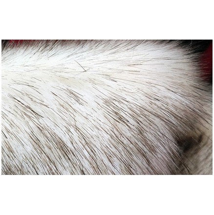 Cosrea Cosplay material Faux Fox Fur Material