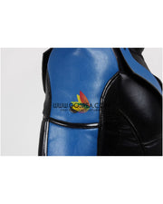 Cosrea DC Universe Nightwing Arkham City Cosplay Costume