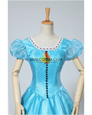 Alice in the Wonderland Cosplay Costume