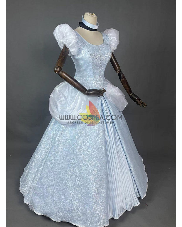 Cosrea Disney Cinderella With Silver Embroidery Cosplay Costume