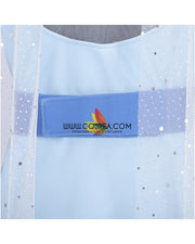 Frozen 2 Elsa Gradient With Custom Sizing Option Cosplay Costume