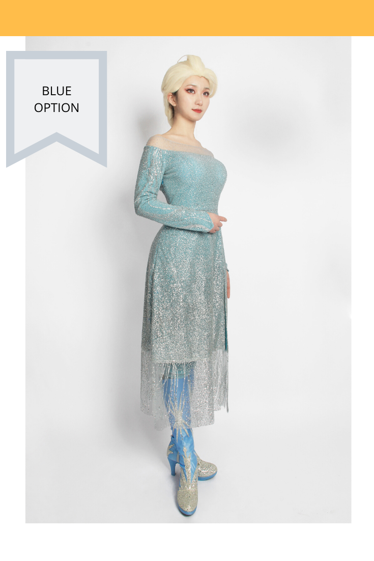 Frozen 2 Elsa High Detail Gradient Embroidered Cosplay