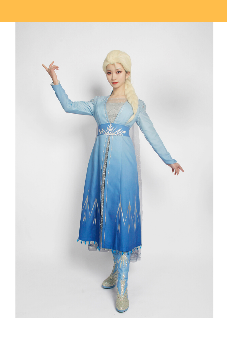 Cosrea Disney No Option Frozen 2 Elsa High Detail Gradient Embroidered Cosplay Costume