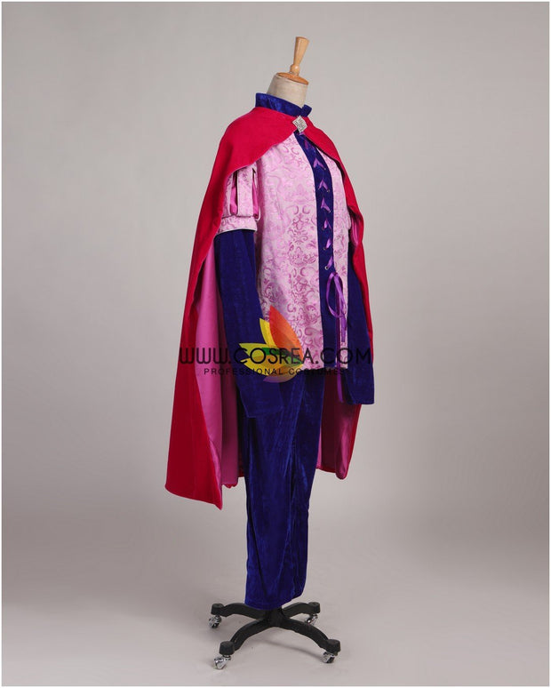 Prince Phillip Sleeping Beauty Brocade Satin Cosplay Costume