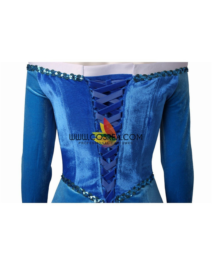 Princess Aurora In Blue With Velvet Sleeves Sleeping Beauty Cosplay Costume