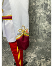 Cosrea Disney Prince Charming Satin Cosplay Costume