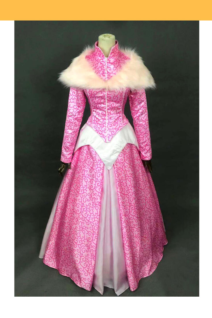 Princess Aurora Park Inspired Winter Sleeping Beauty Cosplay Costume with Boning / Combination Lace Tie