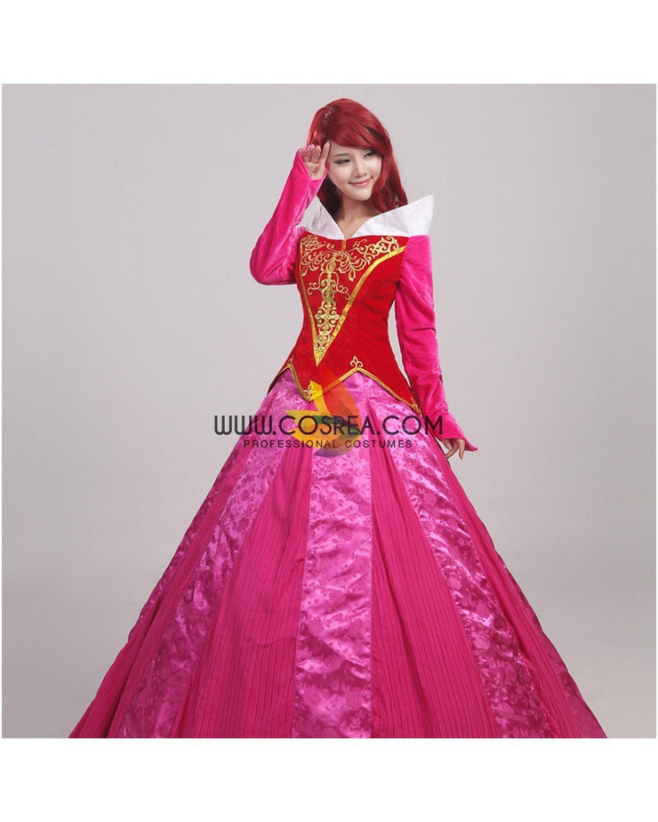 Princess Aurora Velvet Embroidered Sleeping Beauty Cosplay Costume