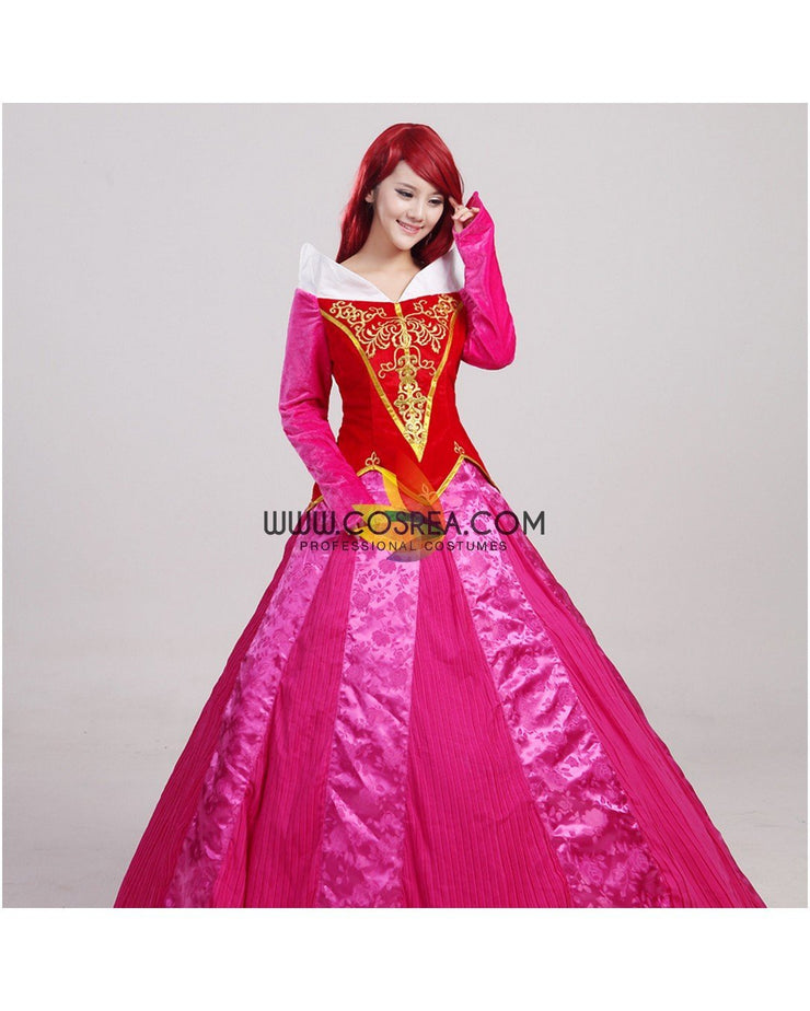 Princess Aurora Velvet Embroidered Sleeping Beauty Cosplay Costume