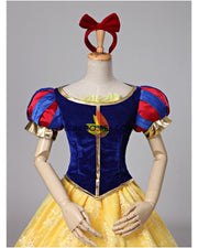 Princess Snow White Brocade Lace Cosplay Costume