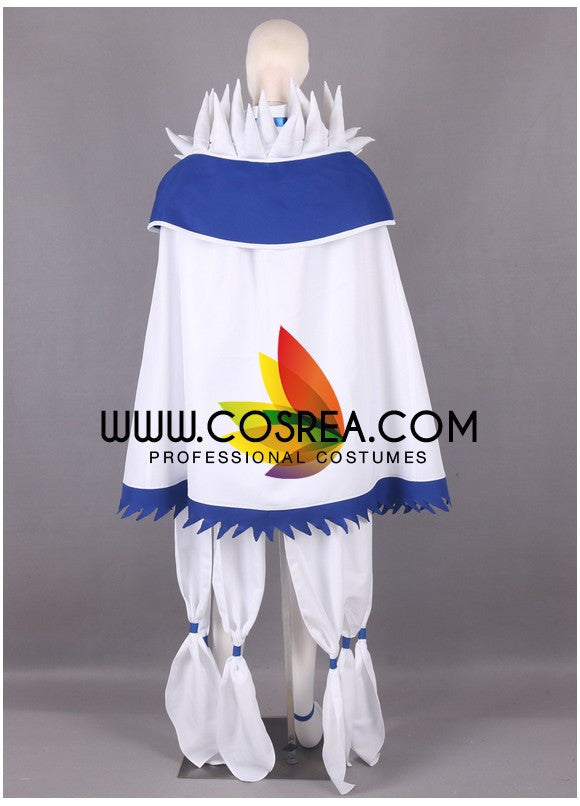 Cosrea F-J Fairy Tail Yukino Agria Cosplay Costume