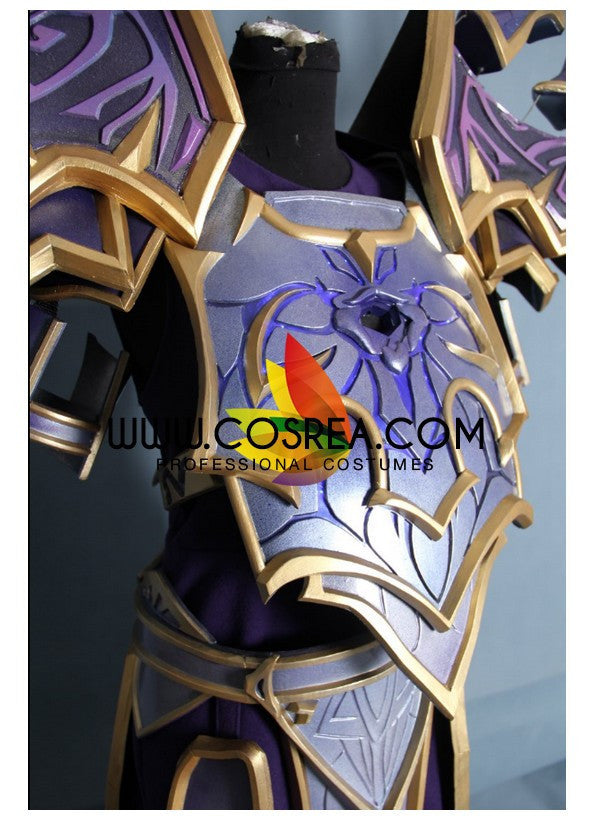 Cosrea Games World of Warcraft Warlock Voidheart Raiment Cosplay Costume