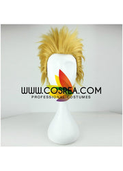 Cosrea wigs Fate Zero Archer Cosplay Wig