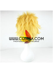 Cosrea wigs Fate Zero Archer Cosplay Wig